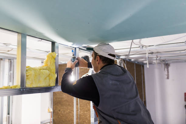 Best Eco-Friendly or Green Insulation Solutions  in Brownsville, TN